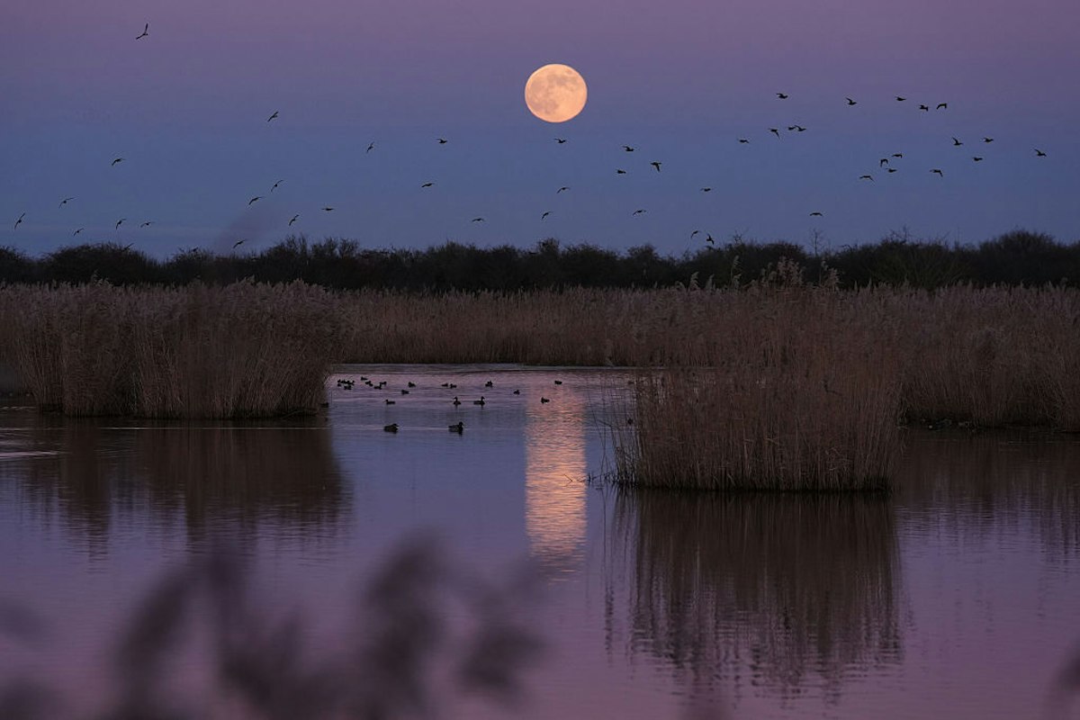 Everything To Know About The February 2026 Full Moon — Snow Moon Time ...