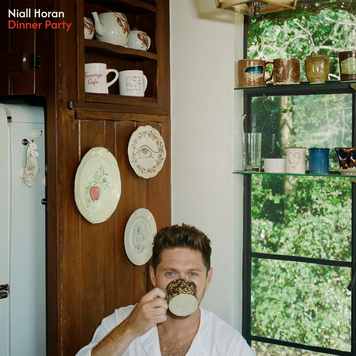 Niall Horan is Going On Tour: How to Get Tickets for 'Dinner Party' Live on Tour