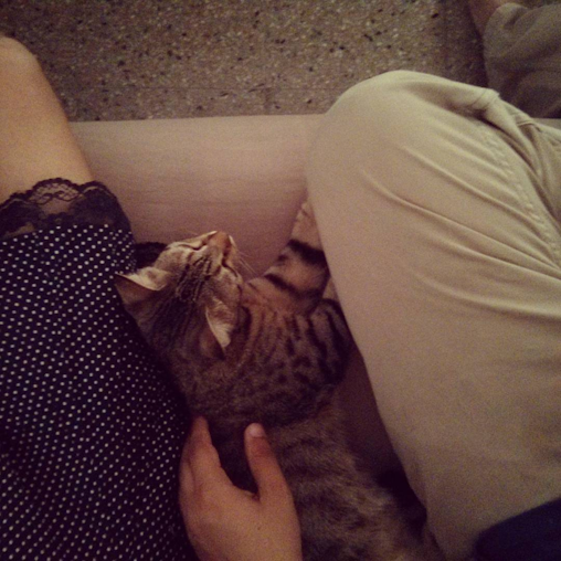 Happenstance Valentine