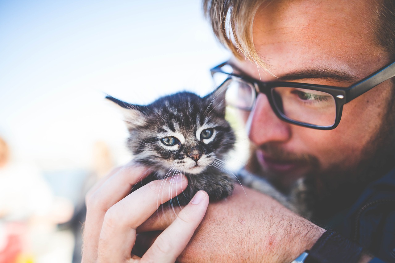 man and kitten|at the vet|woman and dog