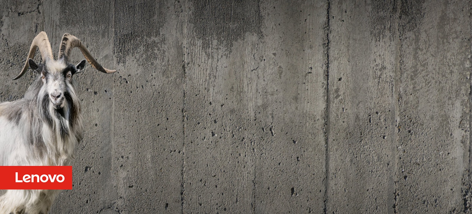 Lenovo er geitin