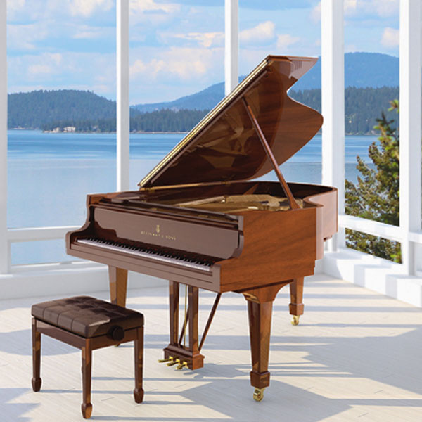 Acoustic pianos