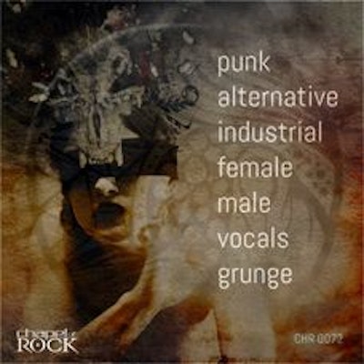 PUNK ALTERNATIVE INDUSTRIAL GRUNGE (album cover)