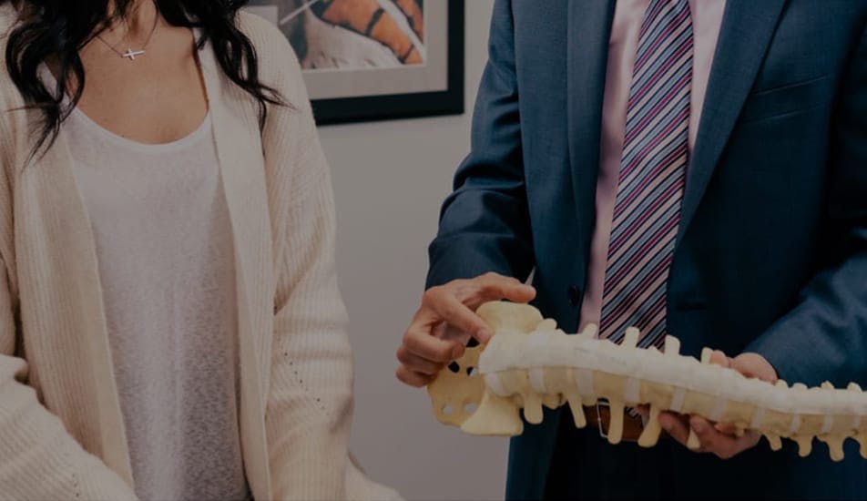Spine Anatomy