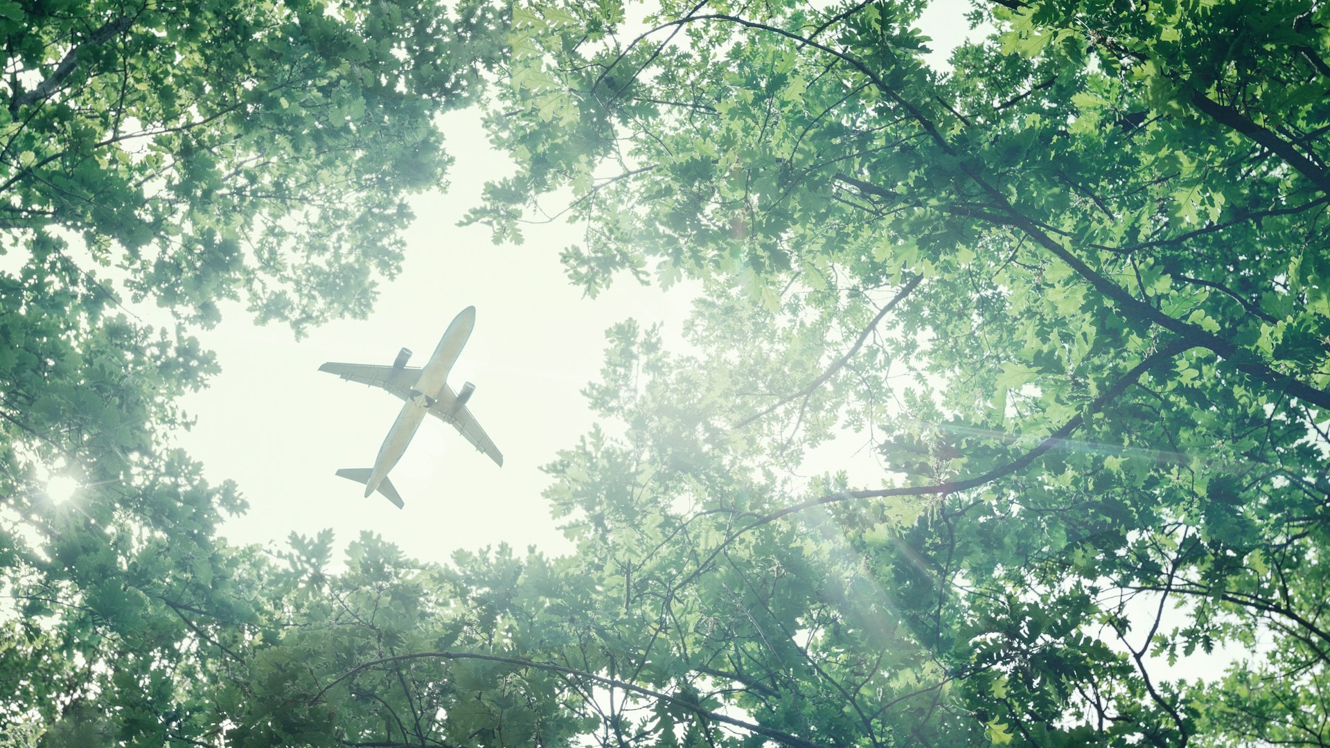 green planes