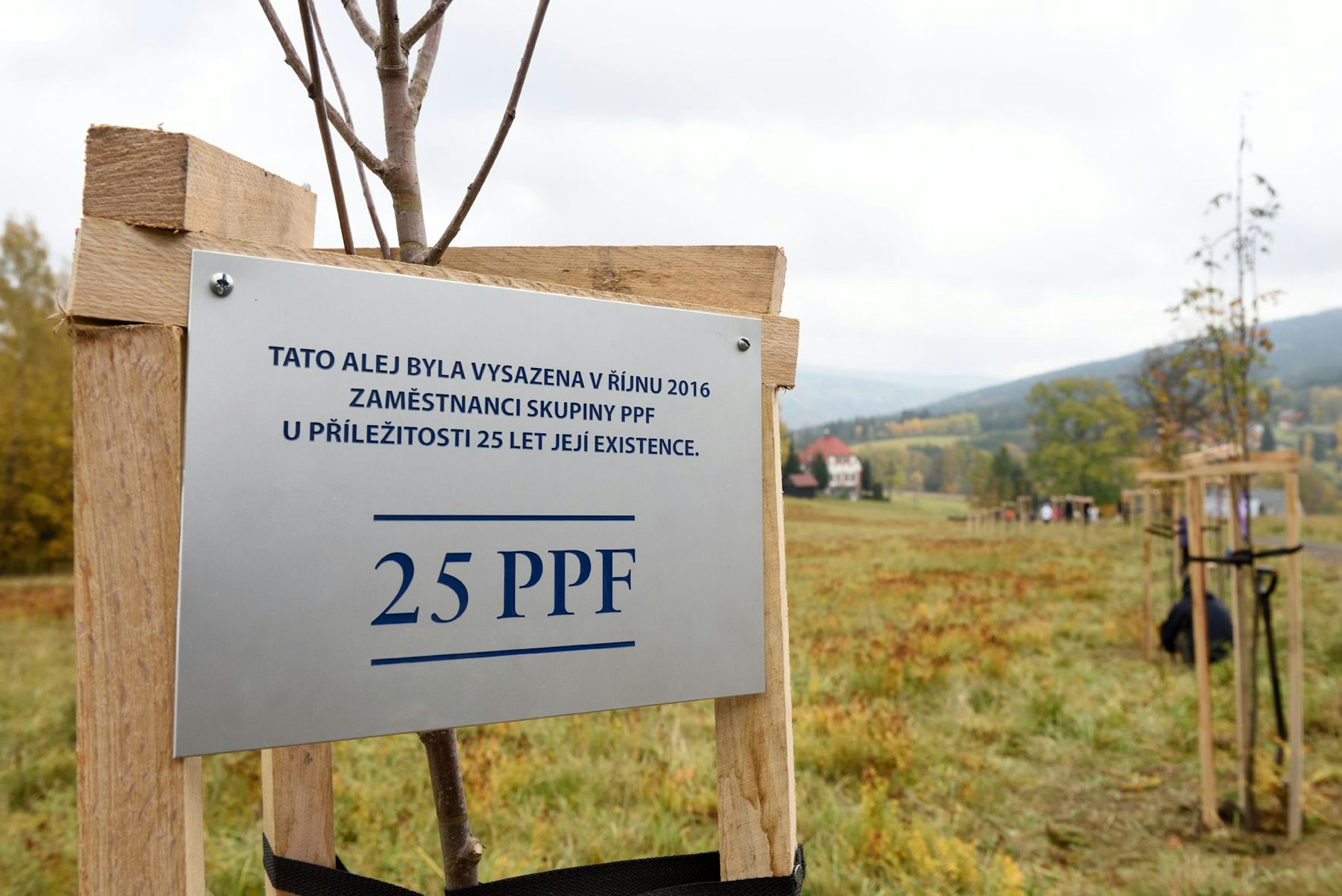 PPF Group Facts and strategies