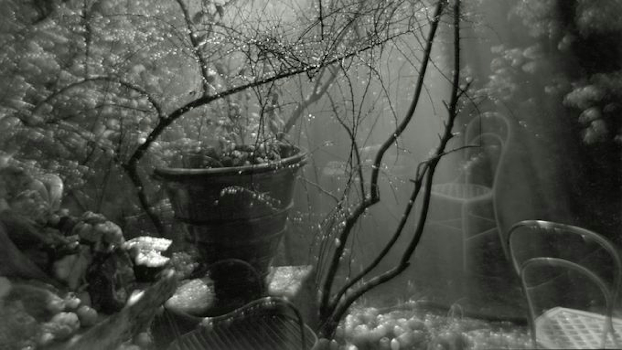 Sudek Josef