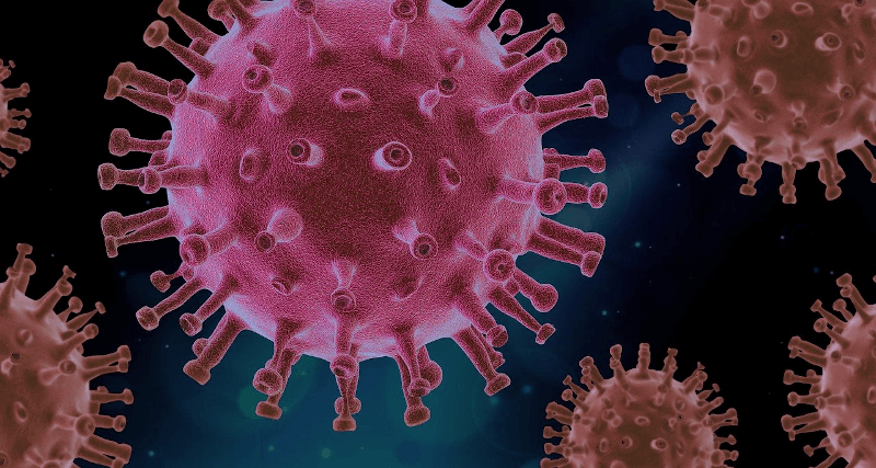 illustrated image of a virus