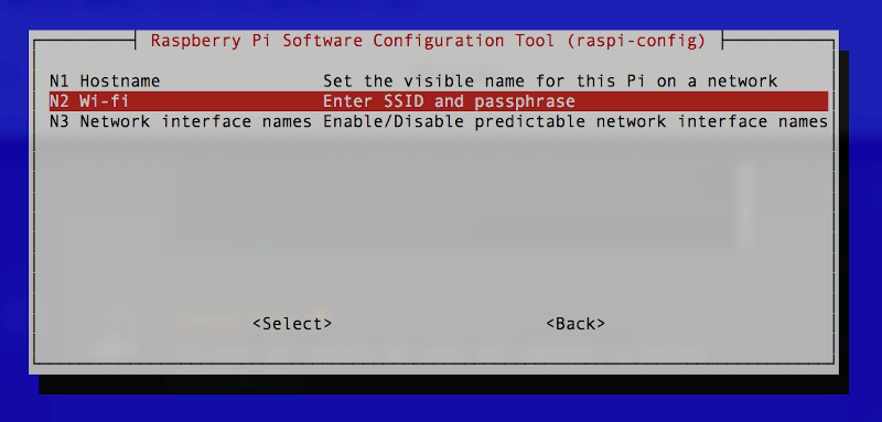 raspi-config network options