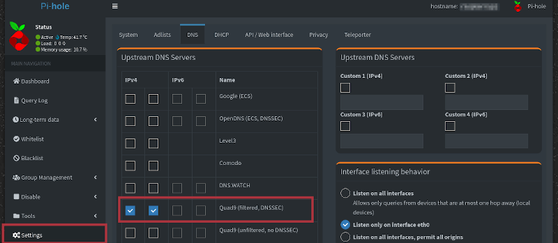 Pihole DNS settings