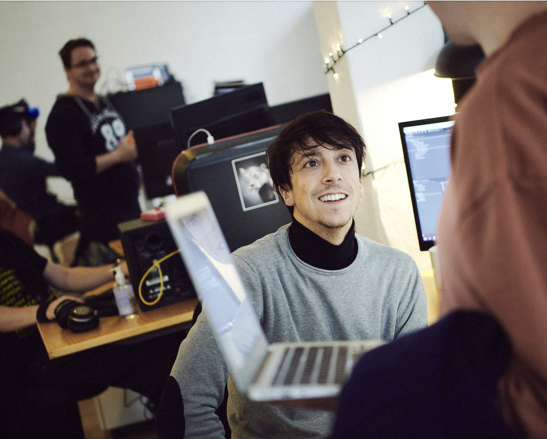 The Flexicurity Model