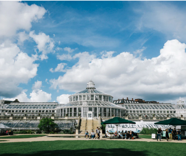 Find happiness in the everyday life