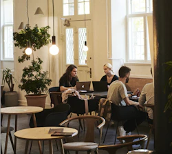 How Is the Danish Workplace Culture?