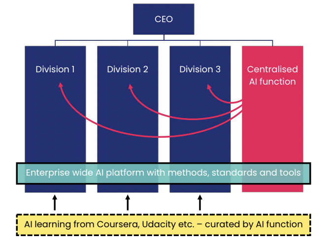 integration of AI into the organisation