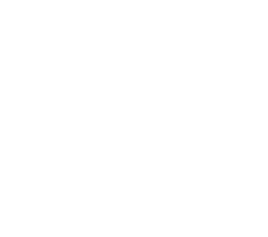 Vision Denmark