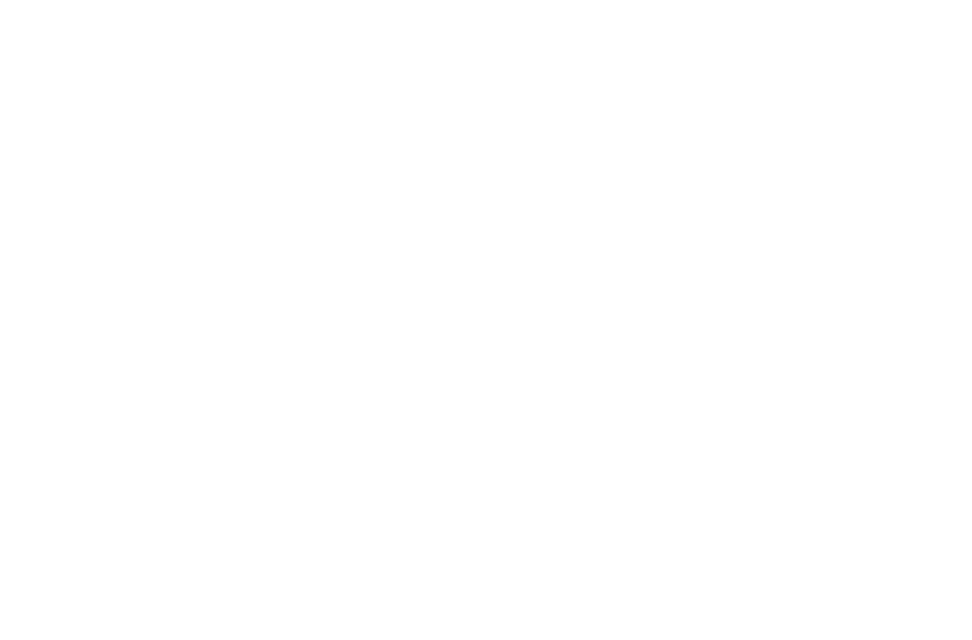 Dansk Industri logo