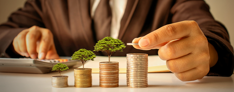 PF Contribution and Interest