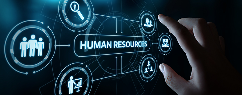 Automation vs Digitisation - greytHR