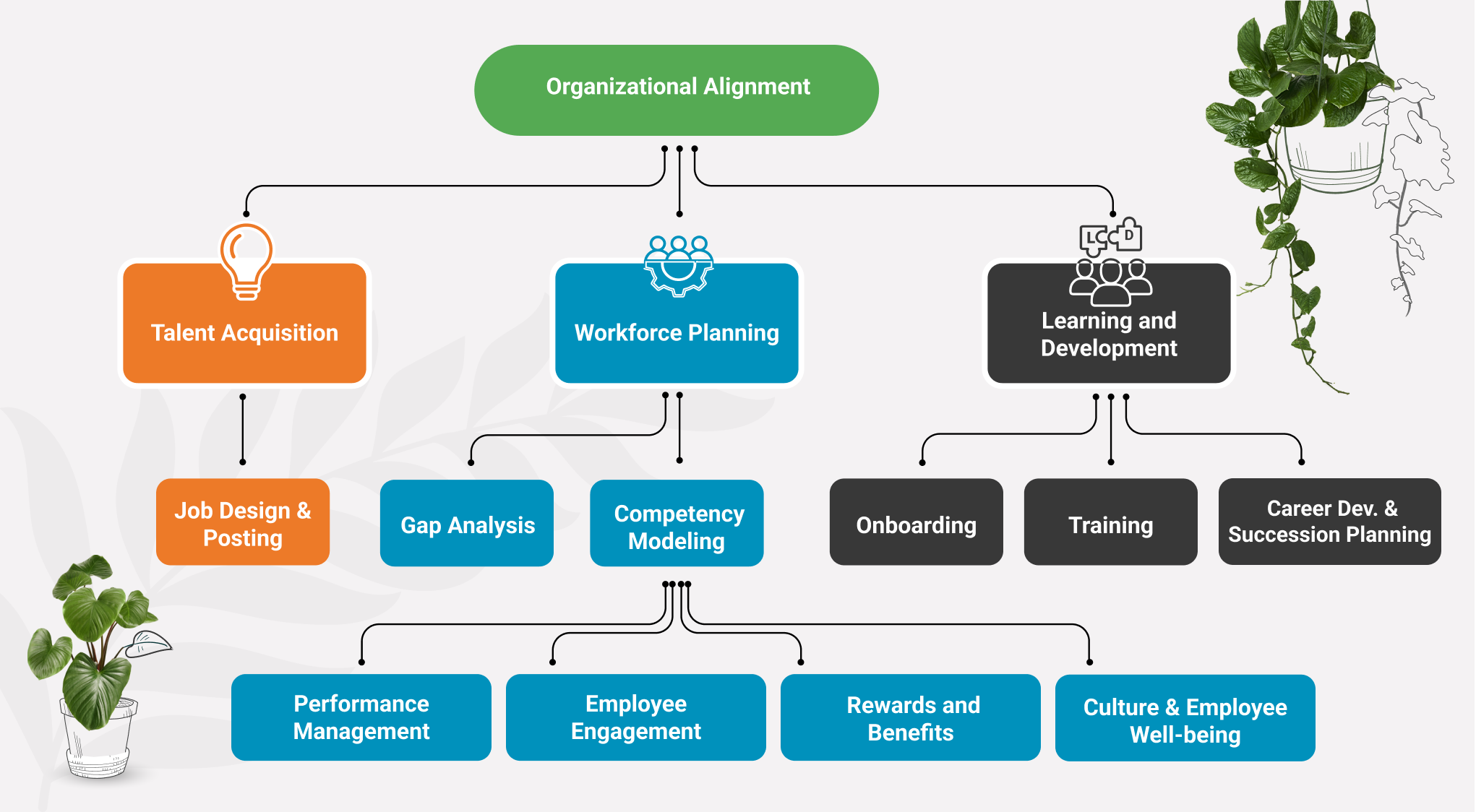 Talent Management