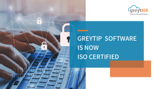 Greytip Software is now ISO certified