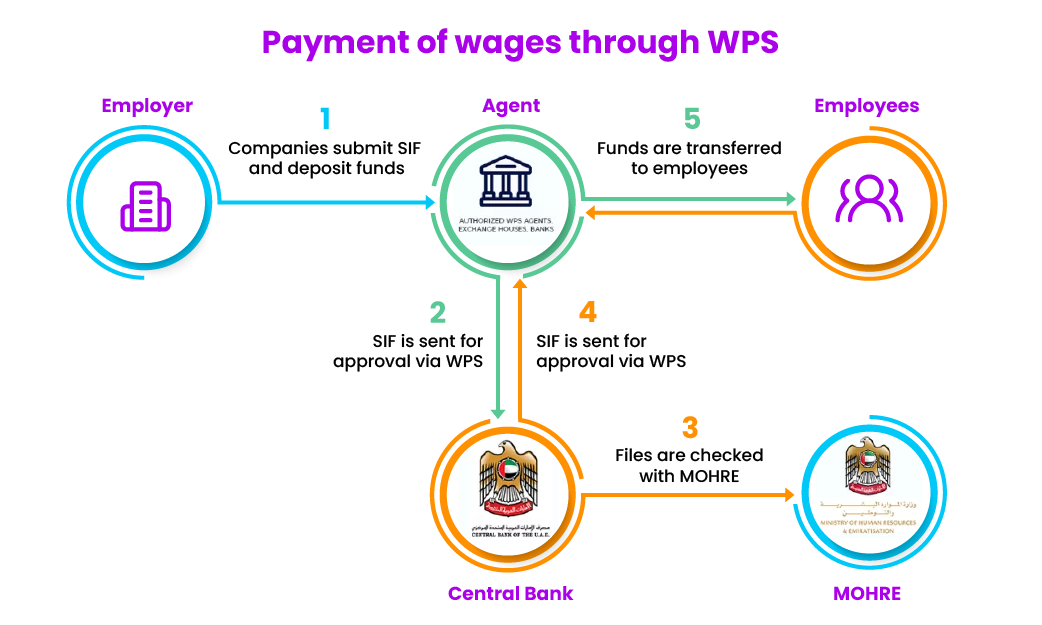 WPS Process in UAE