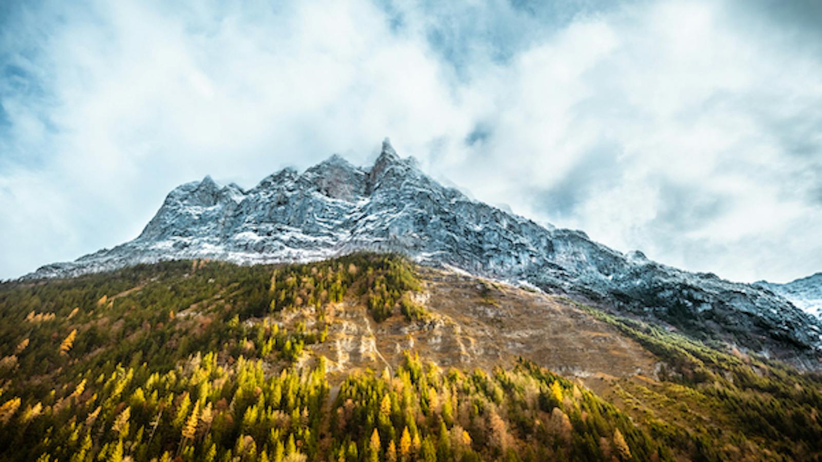 Photocredit: Valentin Müller «Vote Now. Ride Later. – Newsreel #4»