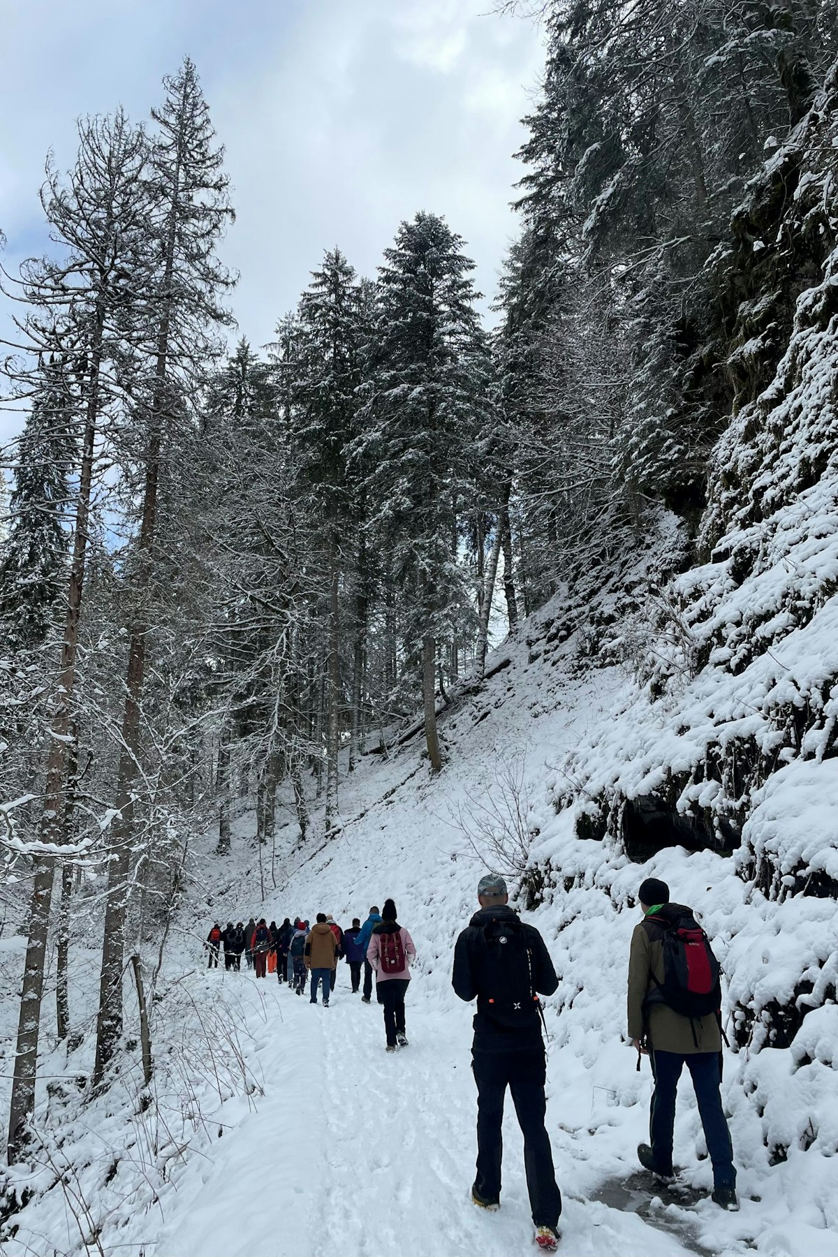 Winterwanderung Winterwanderung