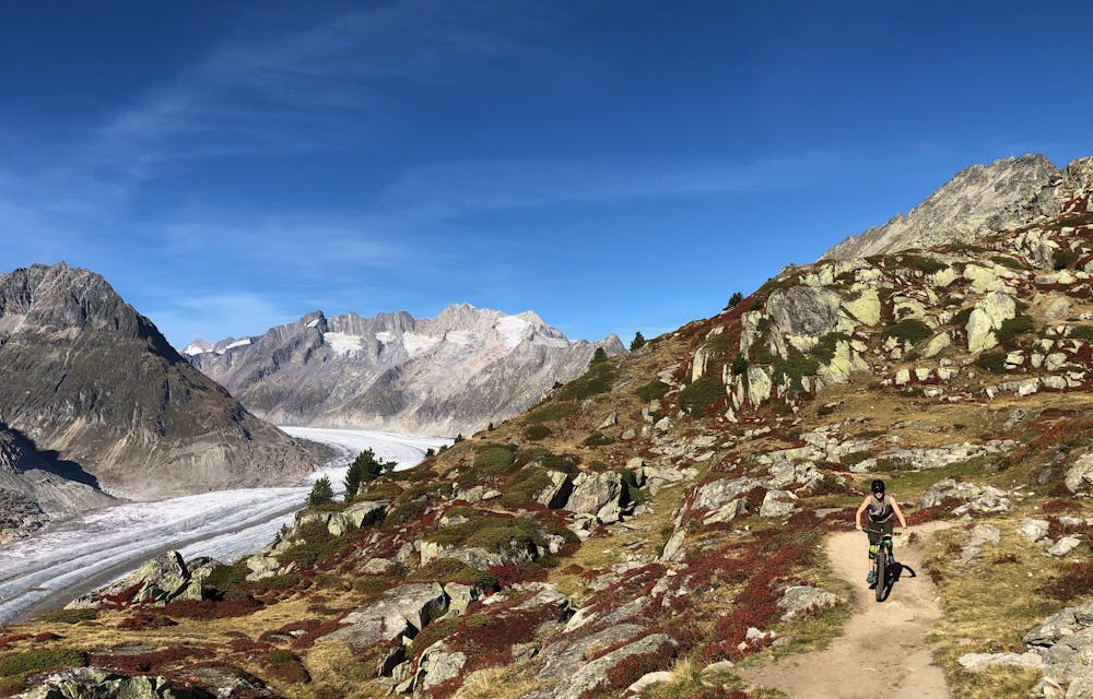 La victoire des Ainées pour le climat nous donne de l’espoir