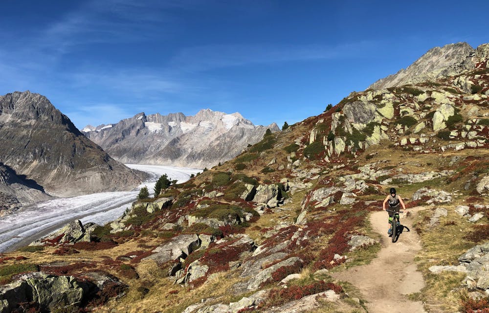 Zwischen Natur und Abenteuer: Klimafreundliche Trails in der Aletsch-Arena