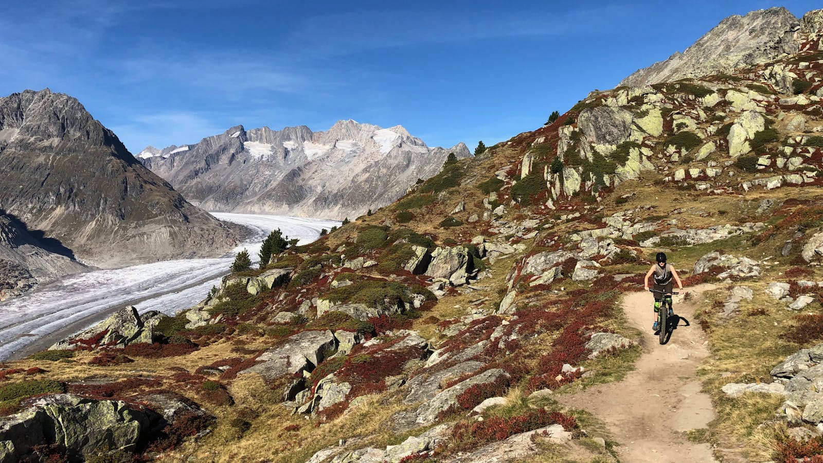 Zwischen Natur und Abenteuer: Klimafreundliche Trails in der Aletsch-Arena