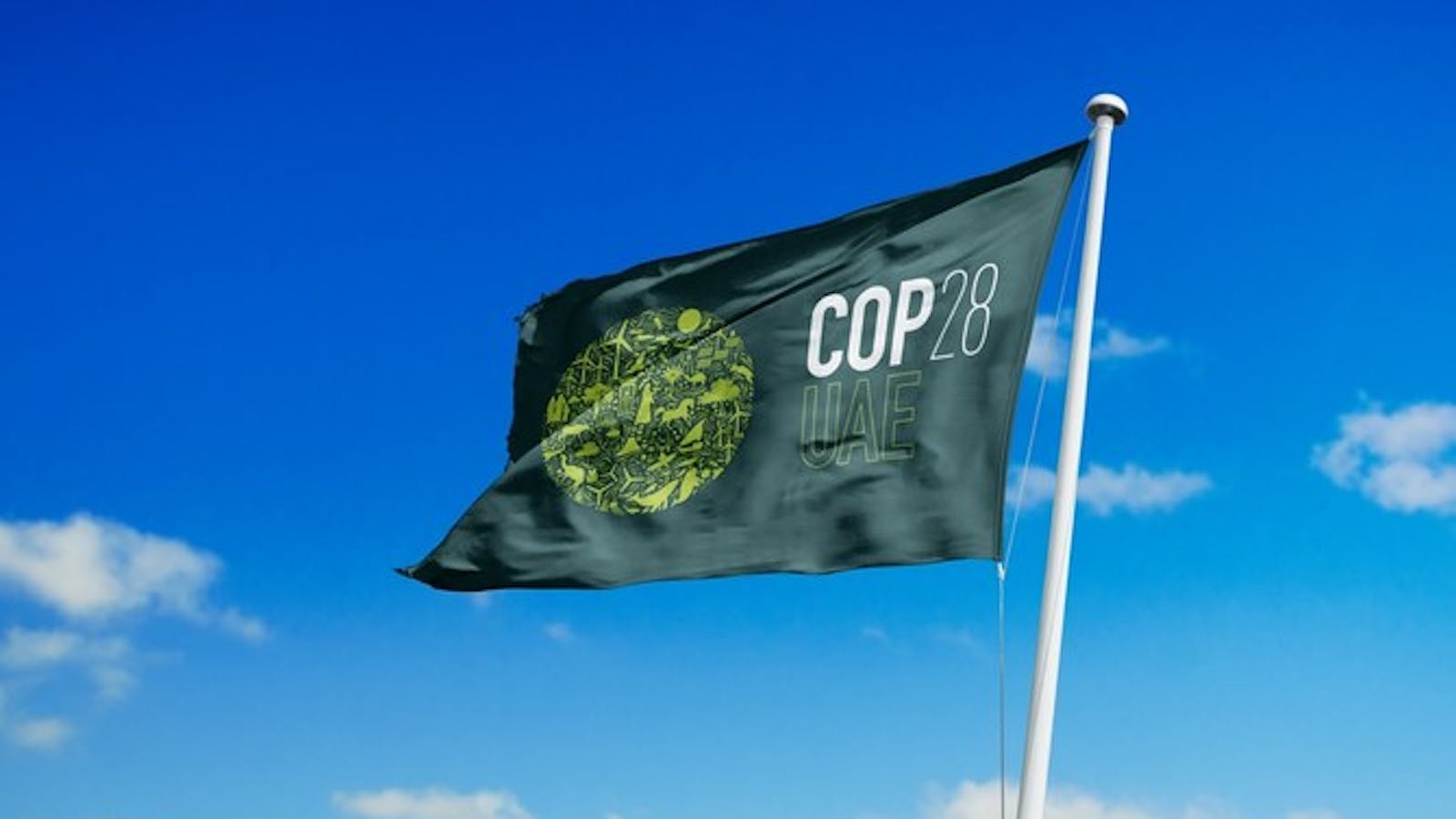 The Paradox of COP28 in the UAE