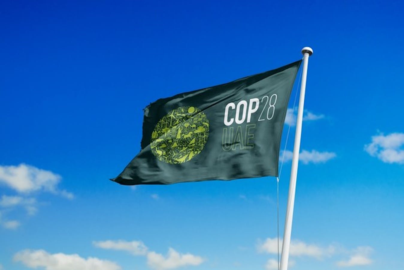 The Paradox of COP28 in the UAE