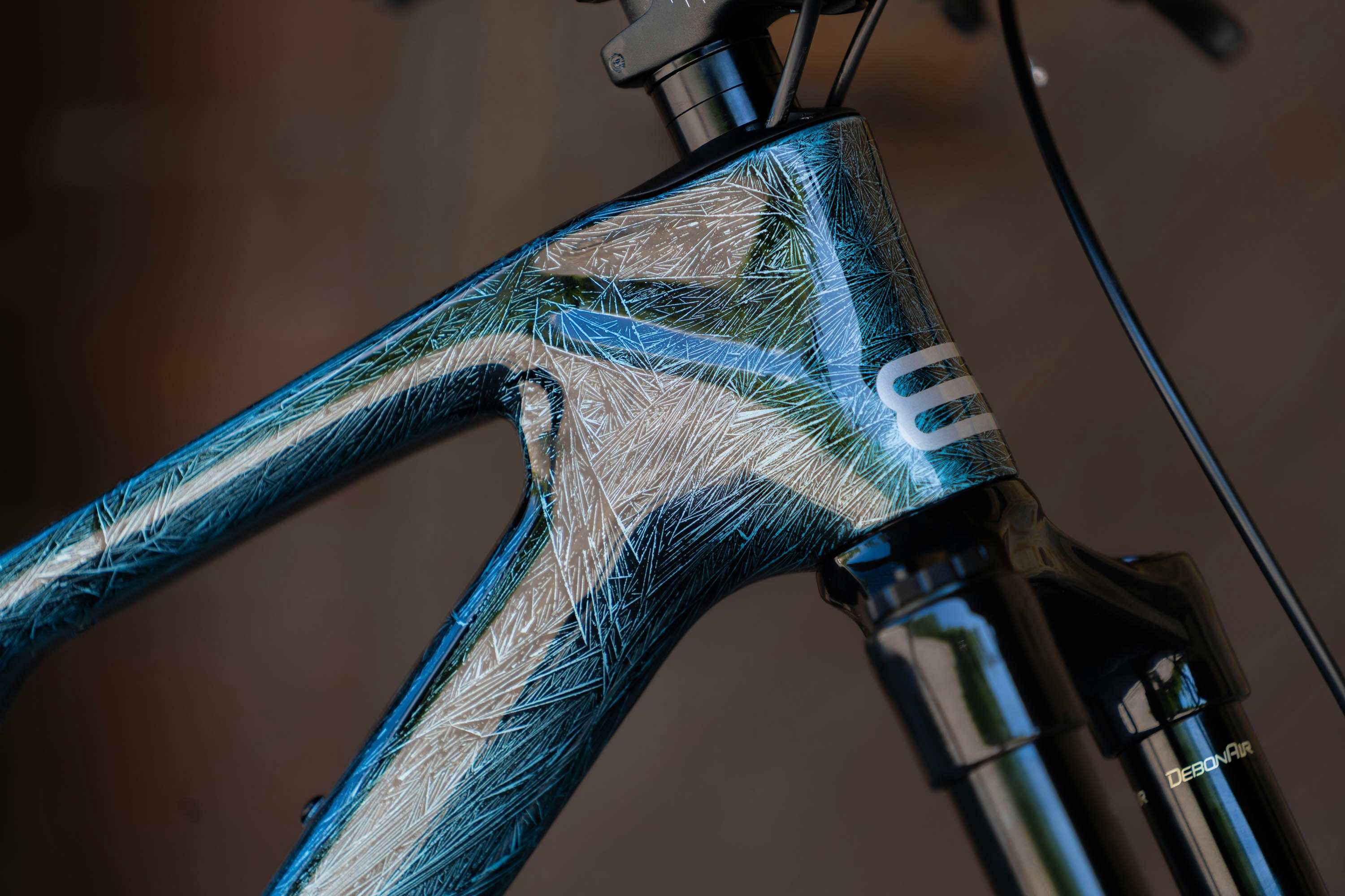 Vente aux enchères du VTT «Keep Swiss Glaciers Cool»