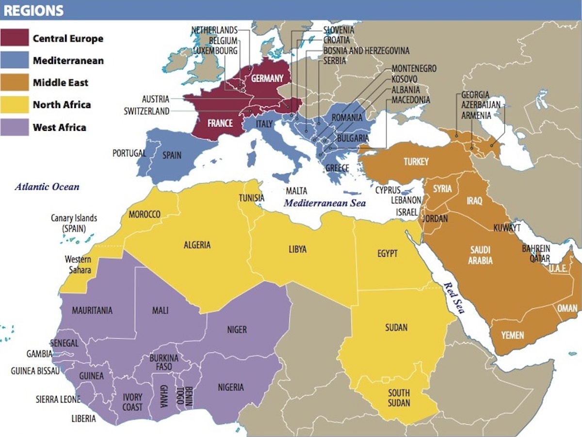 qatar demographic transition model