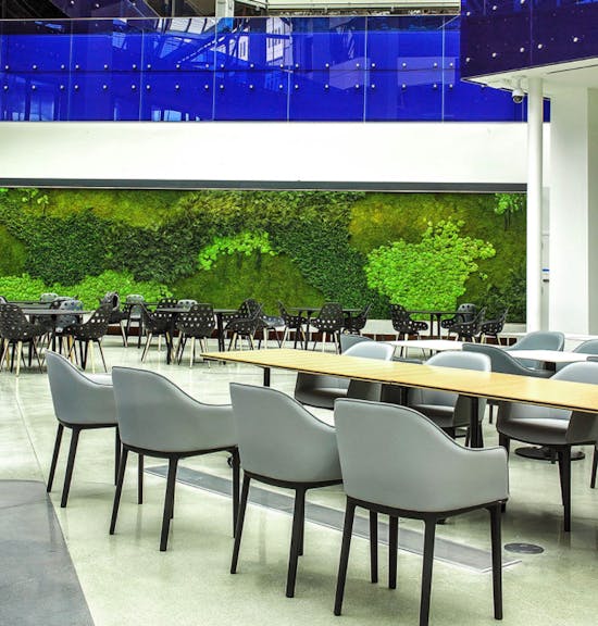 Draper Laboratory Project Born to be different