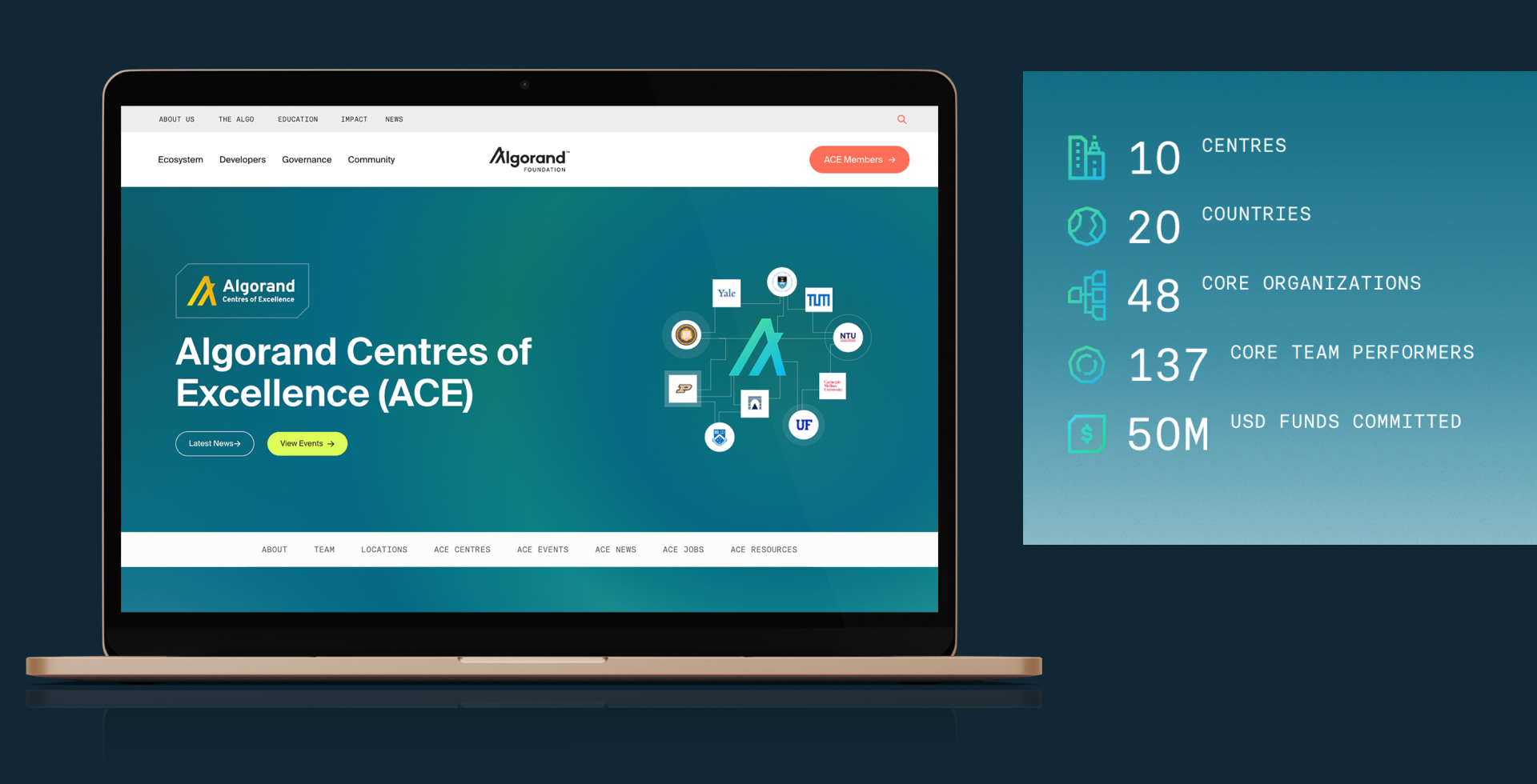 Algorand Foundation Catchy