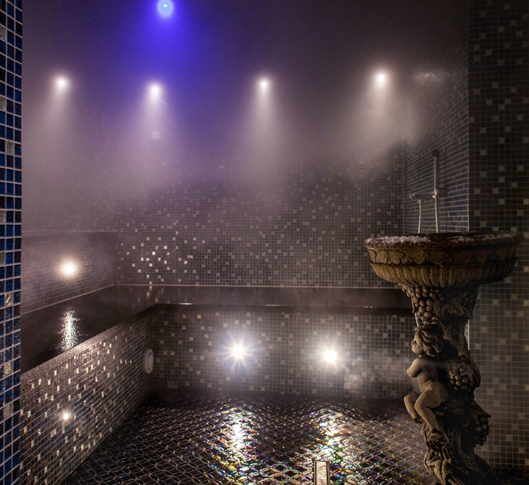 Harvia steam room reference image