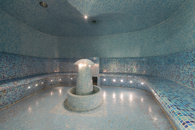 Harvia steam room reference image