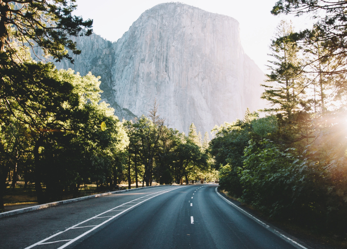 A photo of black asphalt road between trees during daytime