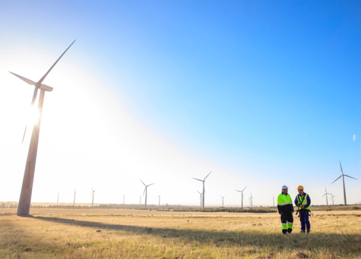 A photo of two engineers discussing on a wind farm