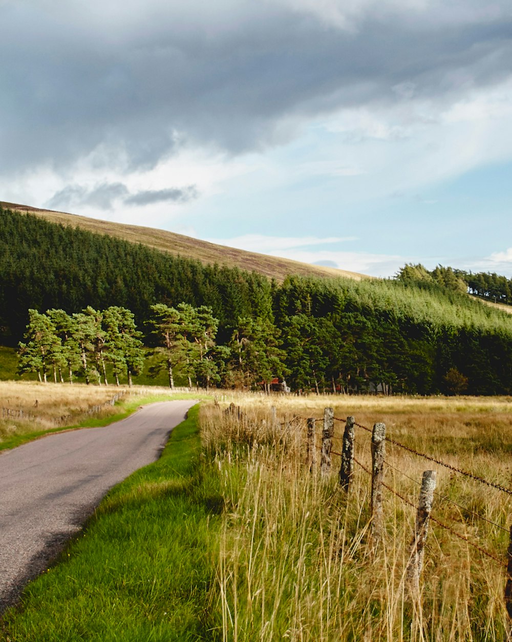 A photo of a remote country road
