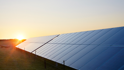 A photo of solar panels in a field at sunrise