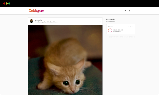 CatsTagram  - Svelte App