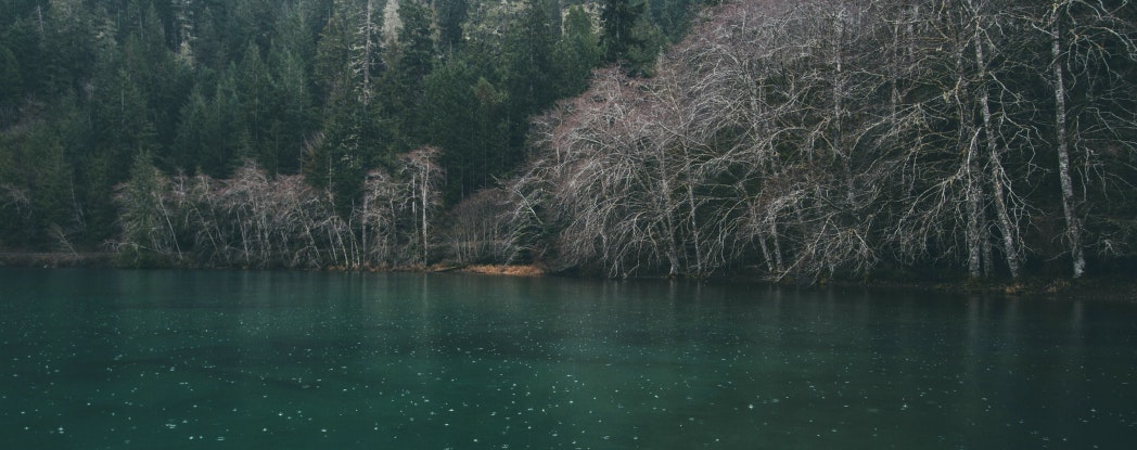 ormanın içinde göl