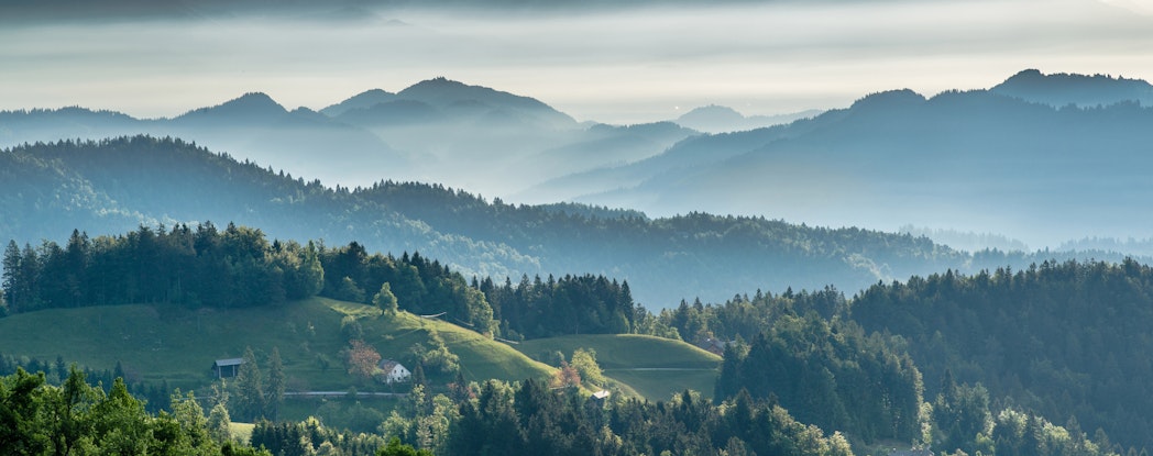 foggy mountain forest