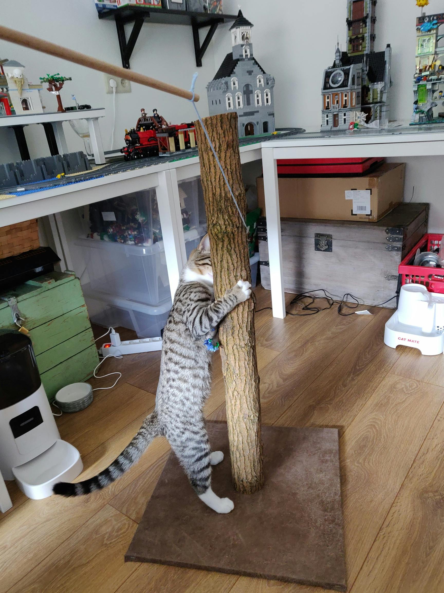 Wood: Scratch post