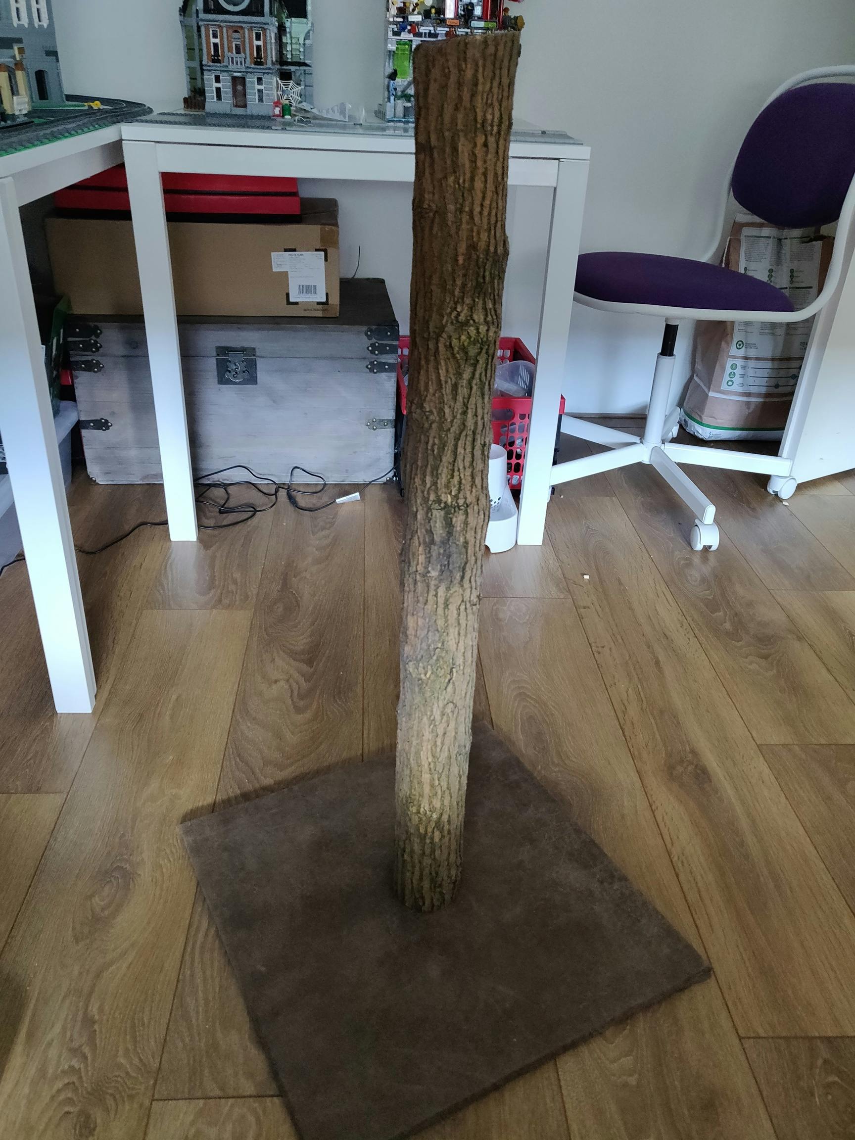 Wood: Scratch post