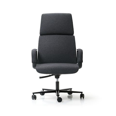 Executive armchair, tilt mechanism M5,