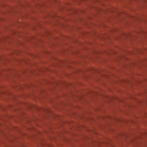 828