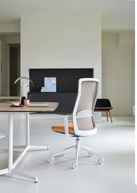 Collection: That's It Light Net